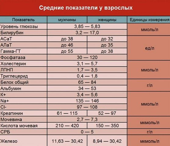 Футбольные статистики и их значение в анализе игры игра