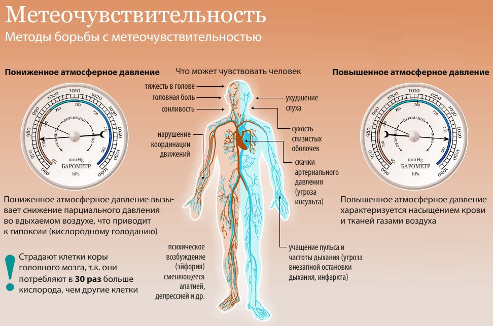 Влияние бокса на кардиоваскулярное здоровье здоровье