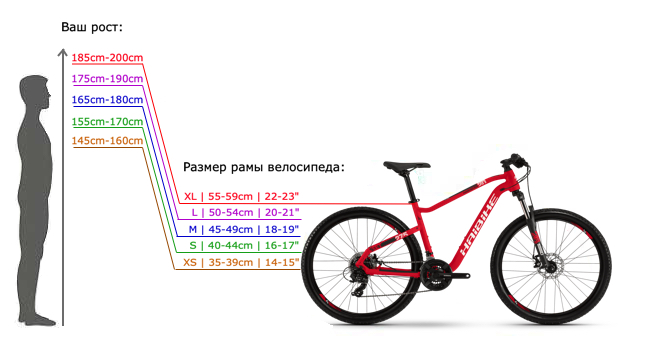 Как выбрать правильный велосипед и снаряжение для велоспорта 